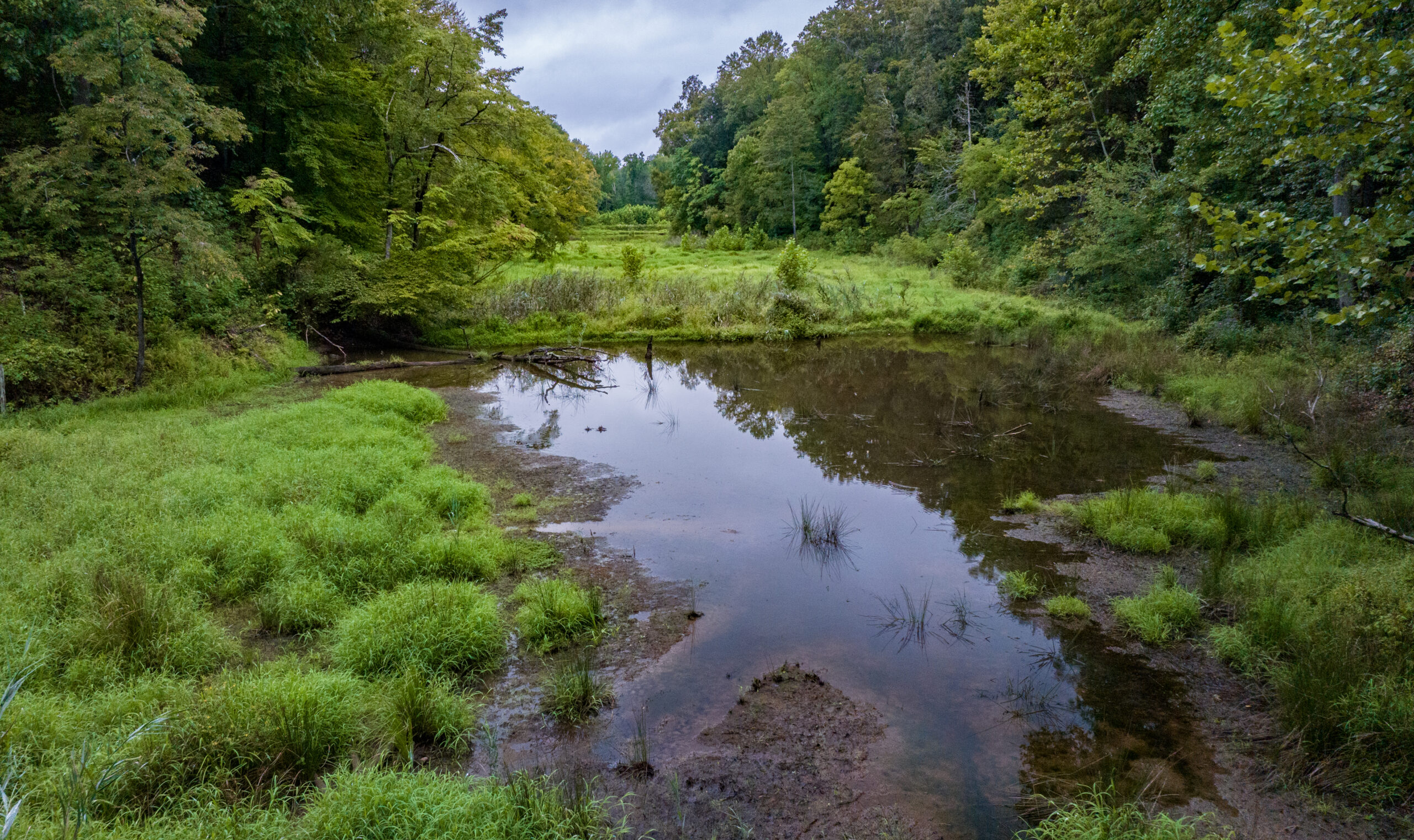 Beaver Pond