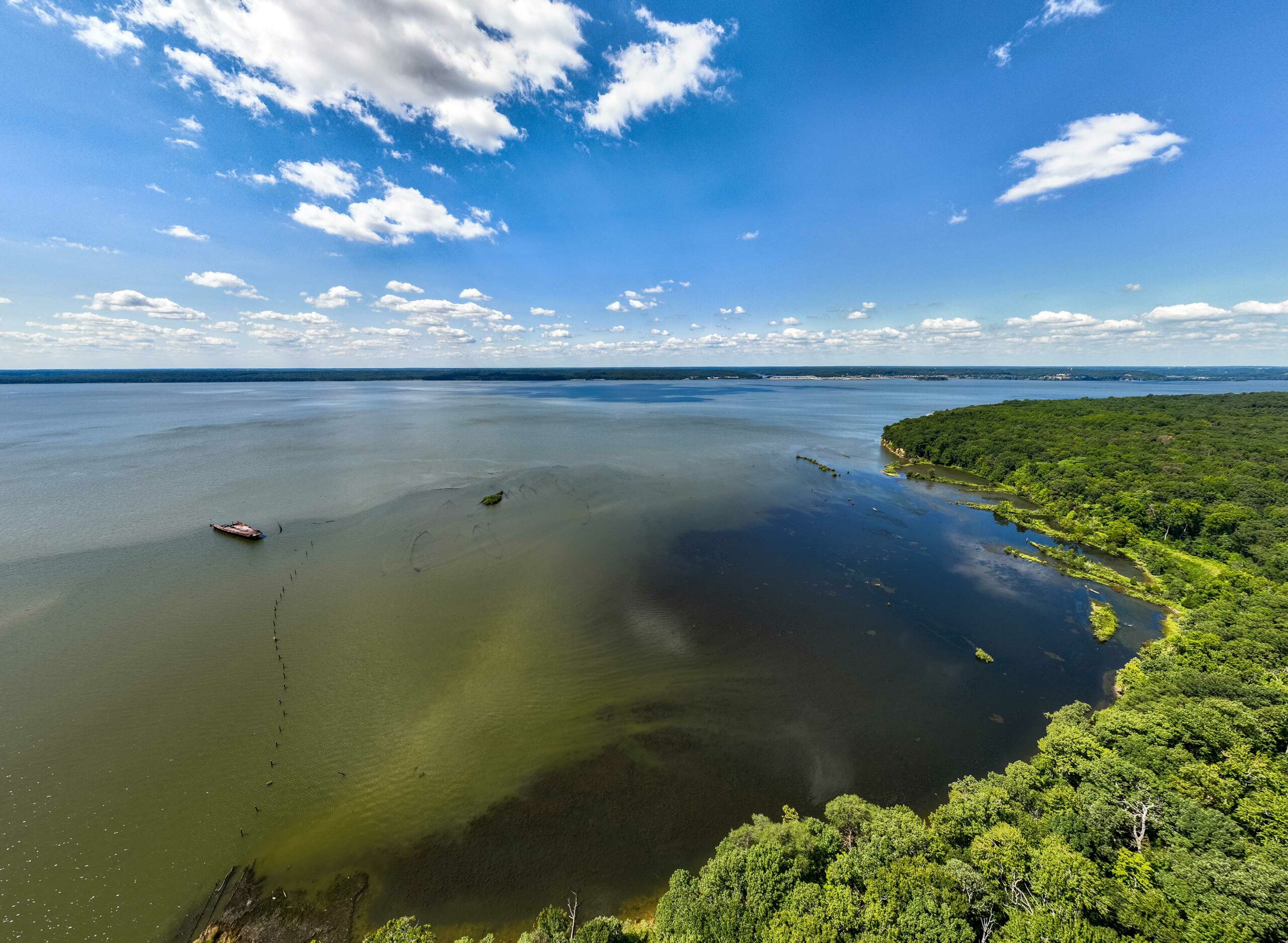 Explore the ecology virtually